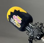 Personalisierter Studio-Windschutz - Image 2