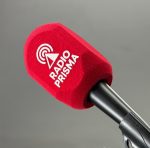 Personalisierter Podcast-Windschutz - Image 8